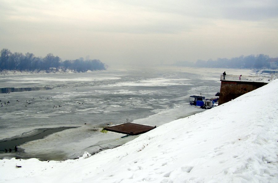 Zale�ena Sava 2012